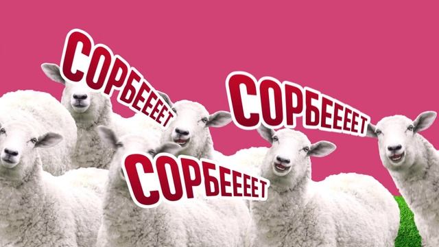 2024, Jattis. Сорбееет