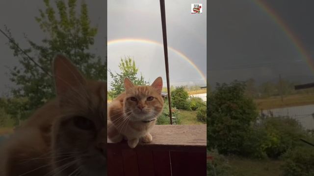 Не бойся 😇🌈❤️🙏😻