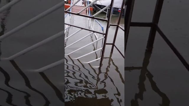 Дон вышел из береов