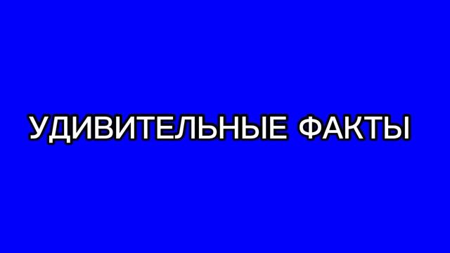 Удивительные факты!