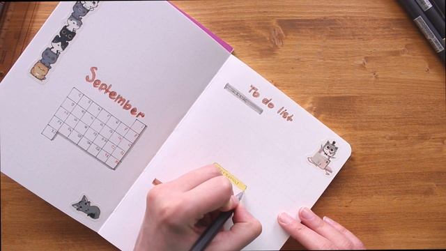 PLANN WITH ME Сентябрь. Стремление к минимализму