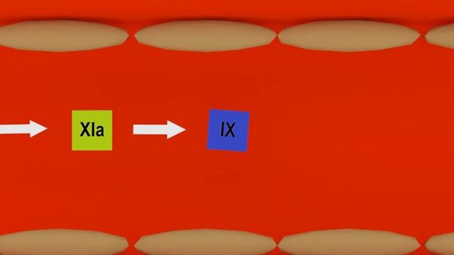 Механизм свертывания крови | 13 факторов | Medanatfarm