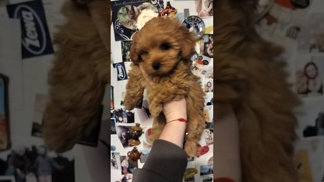 1000186582.mp4