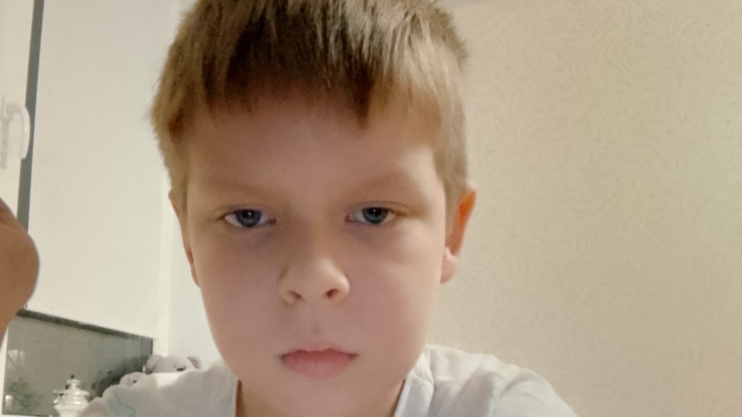 о русском языке