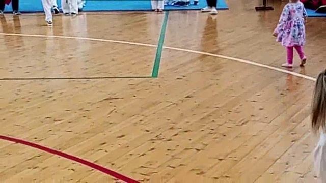 Открытое первенство Шолоховского района по киокусинкай "ЗДОРОВОЕ ПОКОЛЕНИЕ"