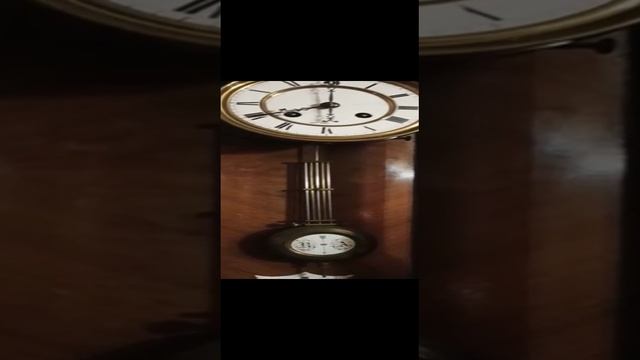 VID-20211111-WA0000.mp4