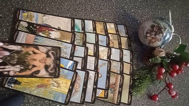 VID_20241219_142122.mp4