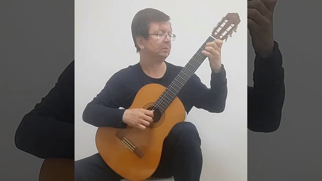 Людвиг ван Бетховен "К Элизе"(фрагмент)