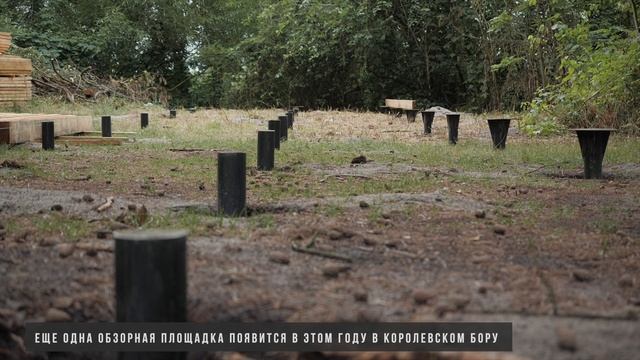 Благоустройство экотроп, июль 2021 года