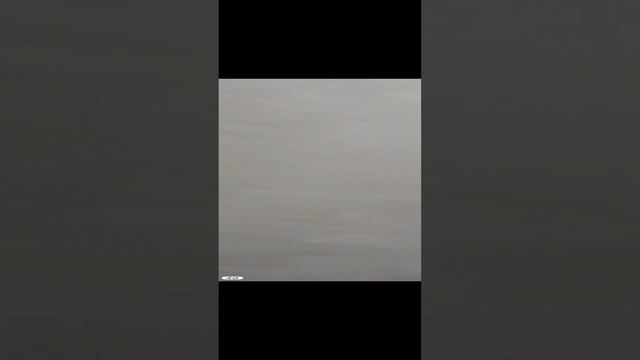 VID_20241215_185302~2.mp4~2.mp4