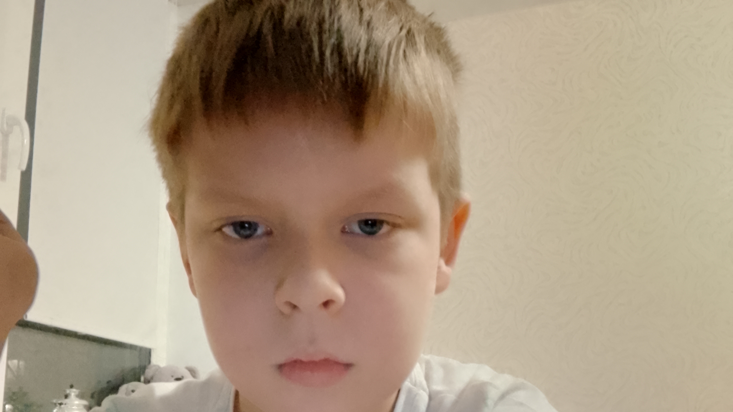 новая по математике