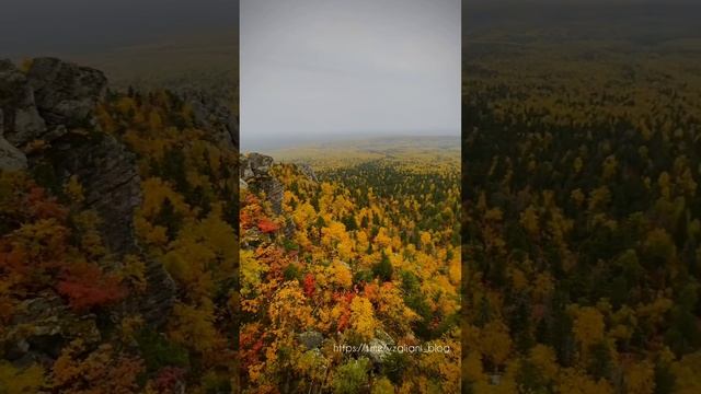 Гора Полюд, Пермский Край🍁🌲https://t.me/vzgliani_blog #nature #природа #travel #shorts #like #ви