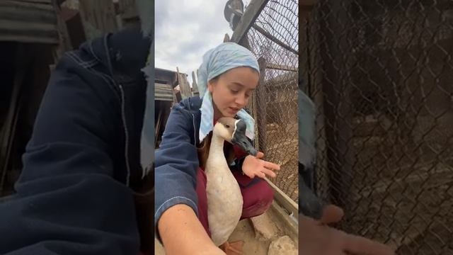 История про Гришу