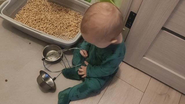 пролил воду кота .mp4