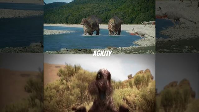 Elimination wheel herbivores vs carnivores