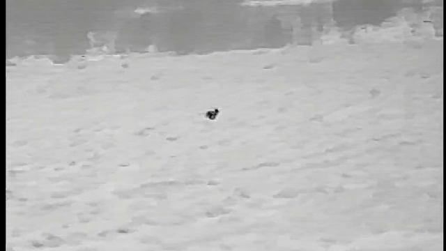 VID_000632.mp4