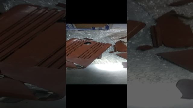 VID_20241217_120655.mp4