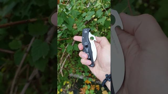 spyderco edc #накармане#onthepocket#edc#knife#spyderco#дядясаня♂️#autumn#нож#осень#nature #like