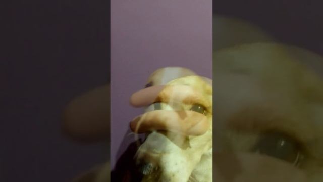 Команда "держать"