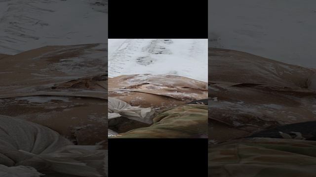 еду в соседнее село