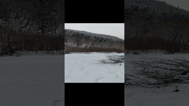 VID_20241215_150138.mp4