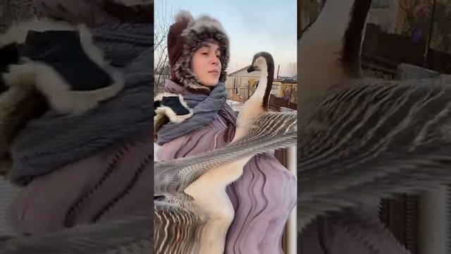 Танцы с Гришей