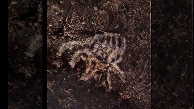 1000057772.mp4