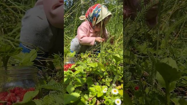 Собираю ягодки #ЯжеВика