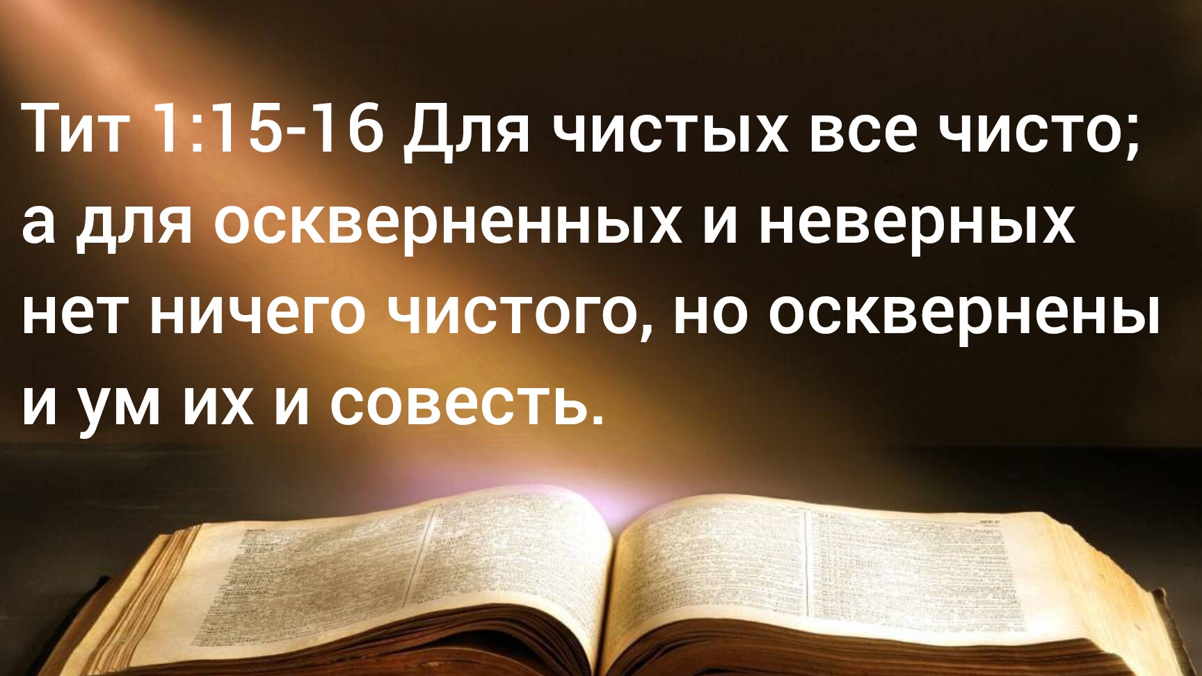 Для чистых все чисто;а для оскверненных и неверных нет ничего чистого, но осквернены ум их и совесть