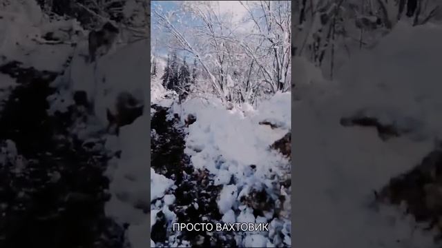 На тракторе в брод