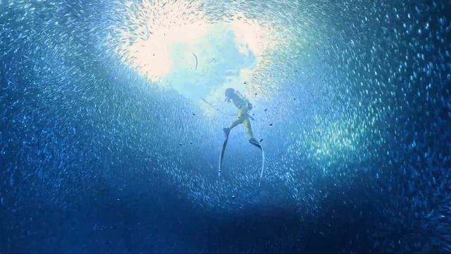 GoPro： Best of 2024