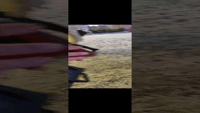 VID_20241219_164956.mp4