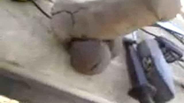 Раскопки в Селе Сосновка