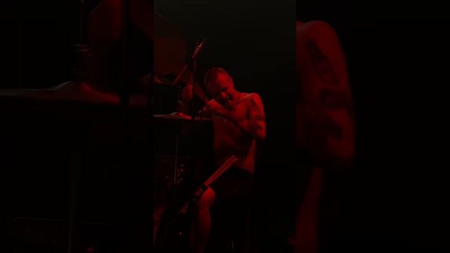 Symbol - Брюки  (live band at bounce)  25-11-22