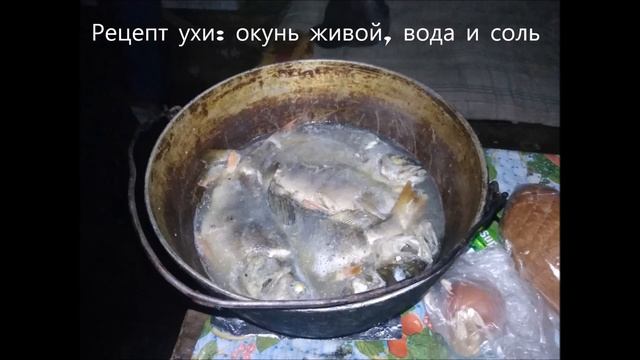 РЫБАЛКА НА ОЗЕРЕ . ЕЗДА НА БУРАНЕ. ОХОТНИЧЬЕ ИСТОРИИ. АЧИРЫ. Оз.АНДРЕЕВСКОЕ