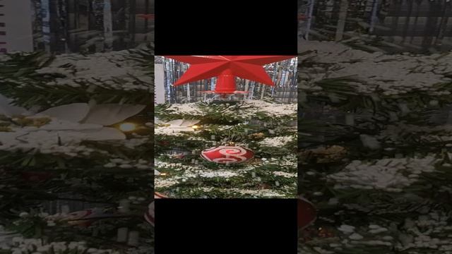 VID_20241218_102844.mp4