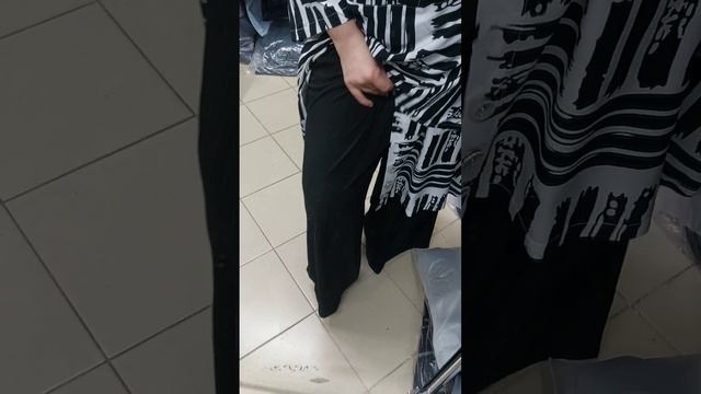 scene_output.mp4