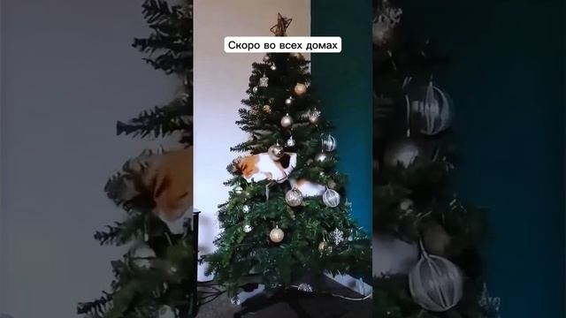 Скоро во всех домах 😁