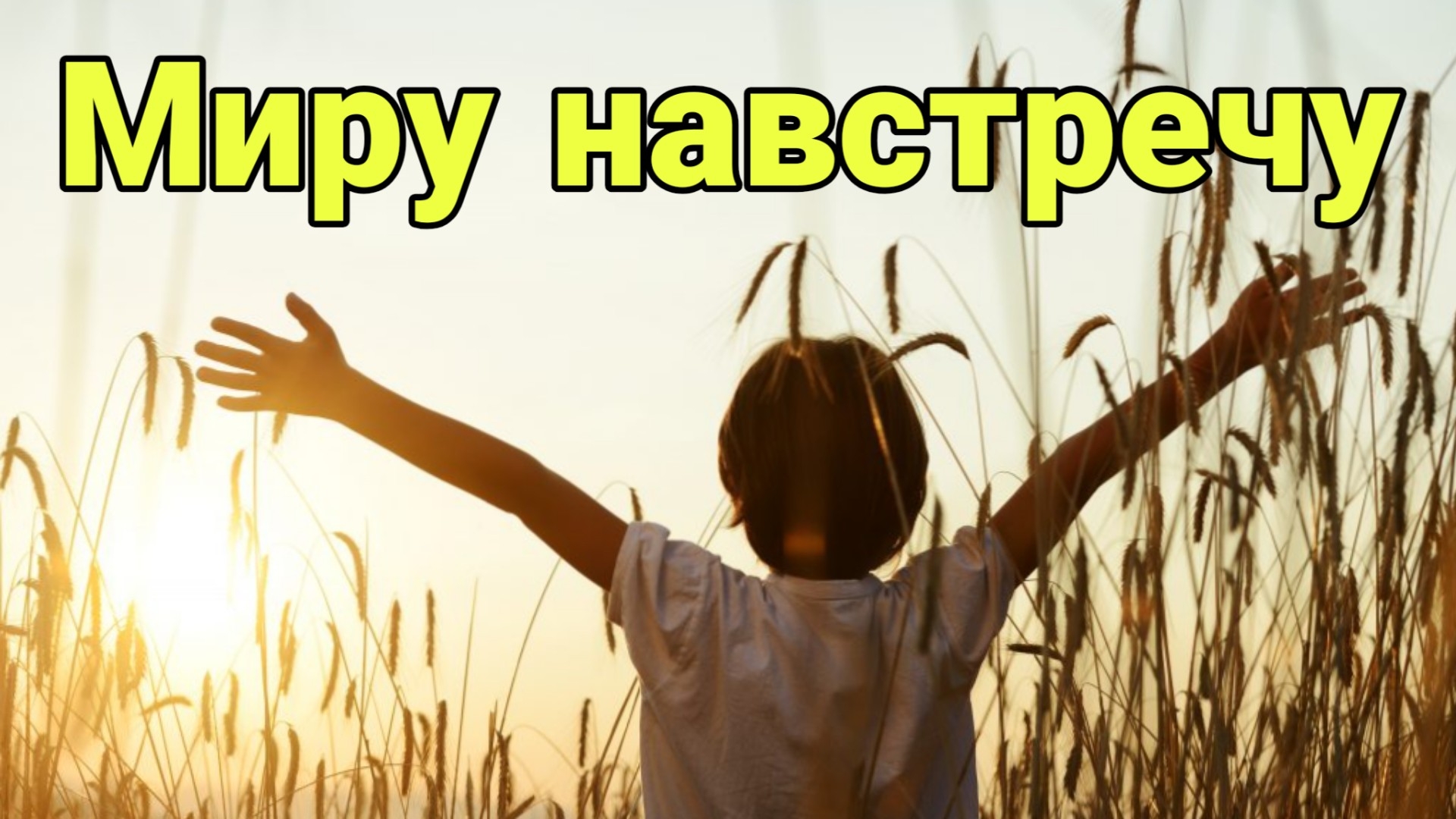Миру навстречу
