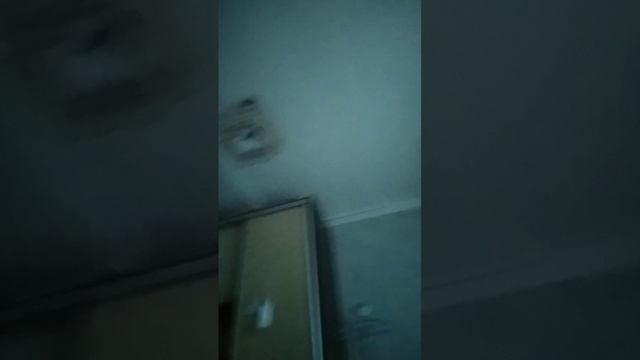scene_output.mp4