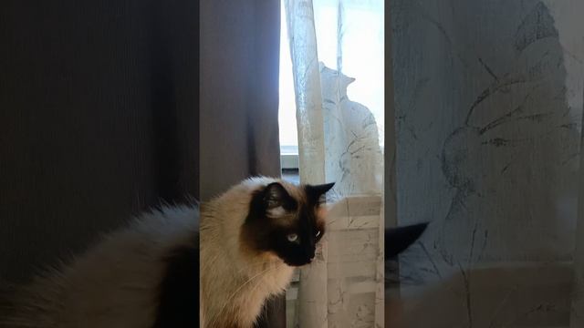 1000026472.mp4