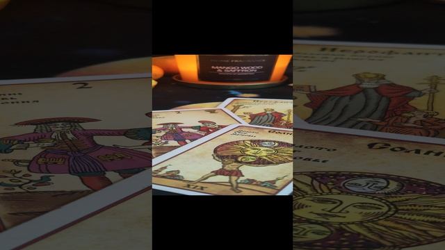 VID_20241219_114624.mp4