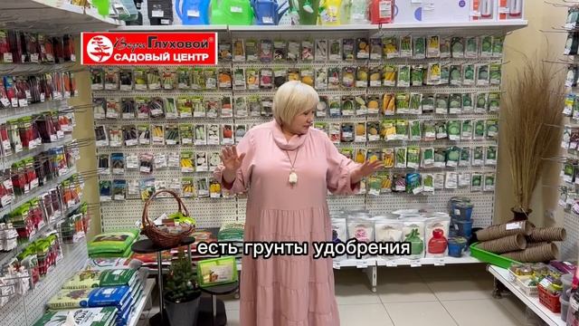 Идея для новогодних подарков от Магазина горшечных цветов Веры Глуховой 🎁