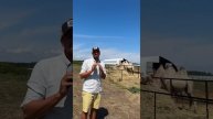 В следующем видео покажем вам, как в наших ангарах живут верблюды #каркасныеангары #ангары