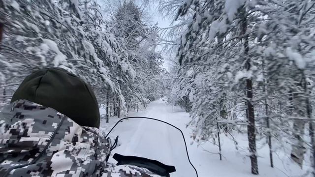 Наконец-то зима, снегоходный сезон начался)!