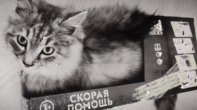 Antony Berg - Скорый Томик