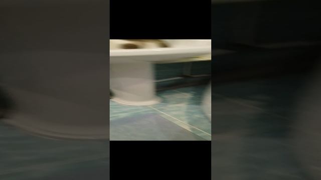 1000008158.mp4