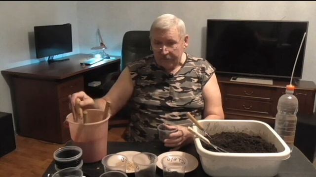 Как я сею помидоры на рассаду