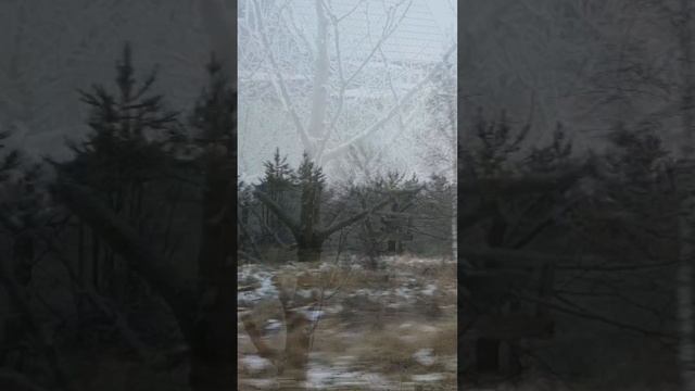 Не спеши.. не гони..
