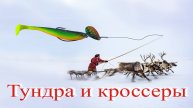 Тундра и кроссеры
